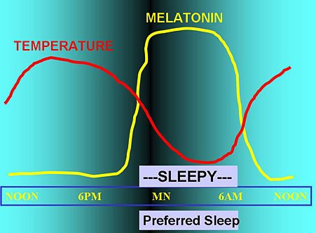 Sleepy Phase Curve